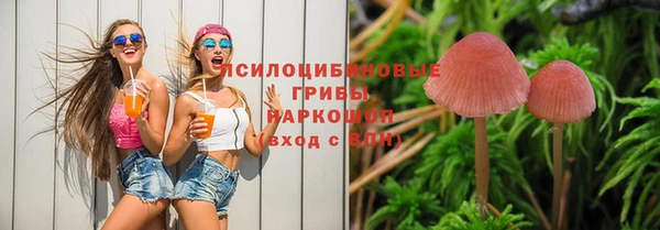 прущие грибы Балабаново