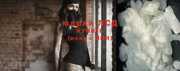 прущие грибы Балабаново