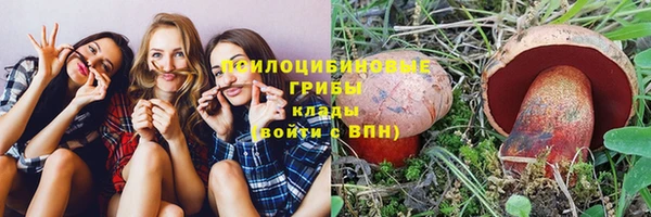 прущие грибы Балабаново