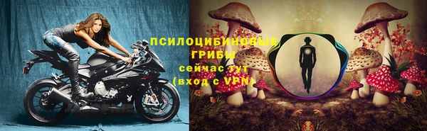 прущие грибы Балабаново
