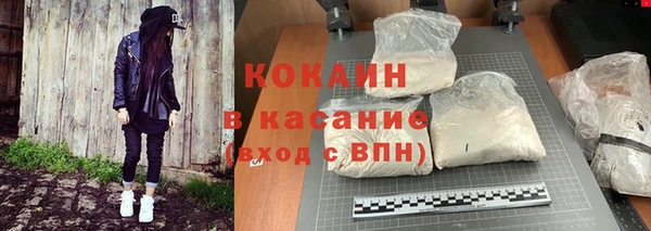 прущие грибы Балабаново