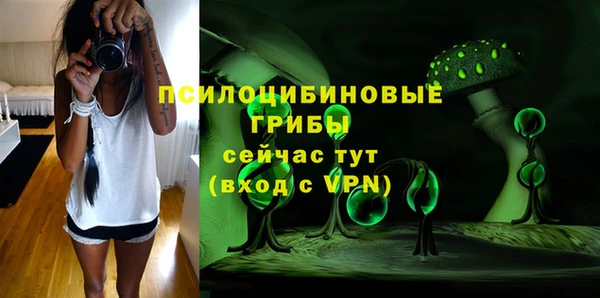 ПСИЛОЦИБИНОВЫЕ ГРИБЫ Армянск