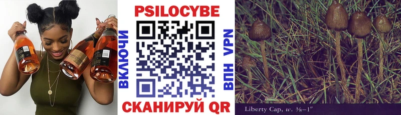 Псилоцибиновые грибы Cubensis купить Высоцк